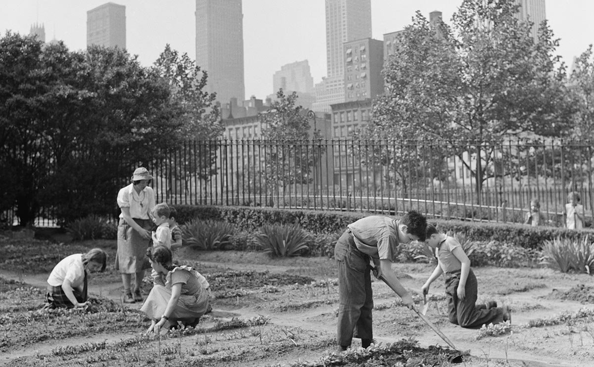 Blue Collar Workers - America's Foundation
